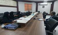برگزاری جلسه معرفی سامانه جهت رجستری ناهنجاری های مادرزادی در دانشکده پزشکی بندرعباس 