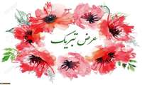 کسب رتبه برتر در میان دو نیم درصد شرکت کنندگان آزمون پیش کارورزی