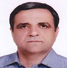 دکتر سید ابوالفضل افجه ای